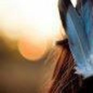 Meet your Posher, Aisling